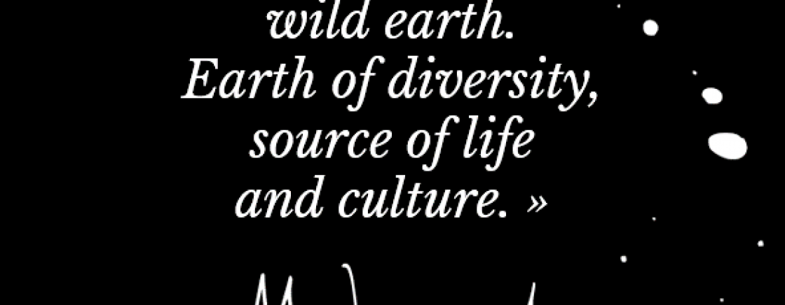 Masterpieces of Africa at the Dapper museum